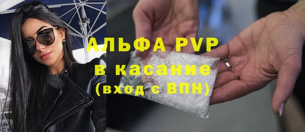 мет Алексин