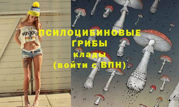 соль курить ск Абаза