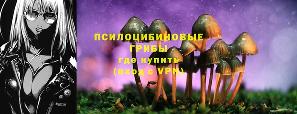 кокс Алзамай